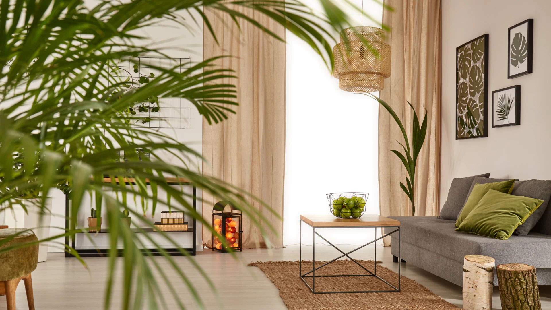 tropical interior design remodeling of living room